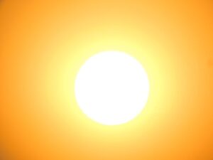 plumeria-sunburn