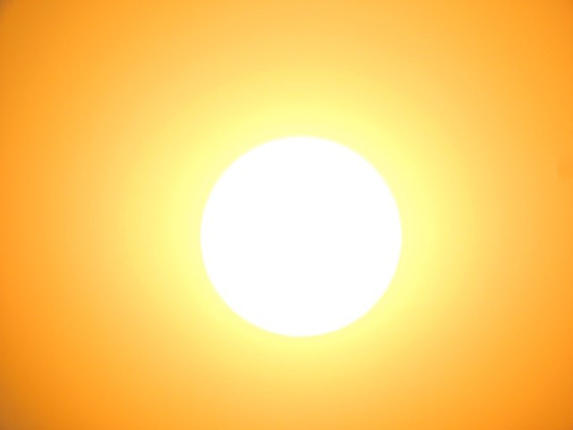 plumeria-sunburn